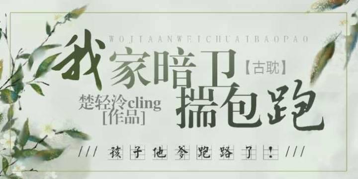 我家暗衛揣包跑