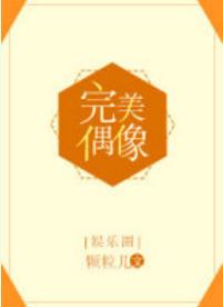 完美偶像[娛樂圈]