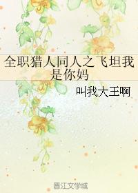 全職獵人同人之飛坦我是你媽