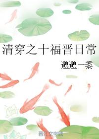 清穿之十福晉日常