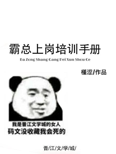 霸總上崗培訓手冊