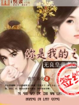 你是我的之無良皇帝老公