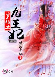 穿越之九王妃