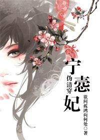 僞清穿之寧悫妃