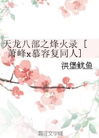 天龍八部之烽火錄 [蕭峰x慕容複同人]