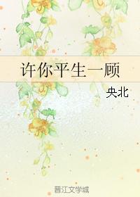 許你平生一顧