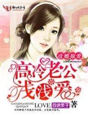 攻婚掠愛，高冷老公淺淺愛