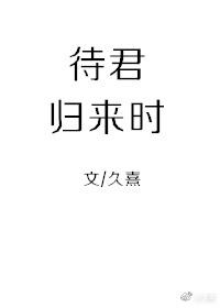 待君歸來時