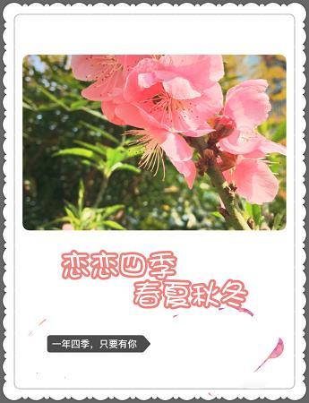 戀戀四季春夏秋冬