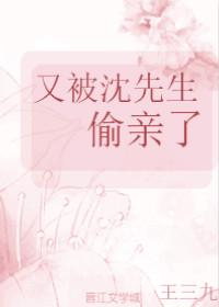 又被沈先生偷親了