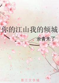 你的江山我的傾城