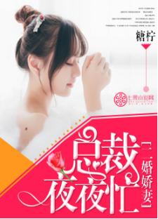 二婚嬌妻：總裁夜夜忙