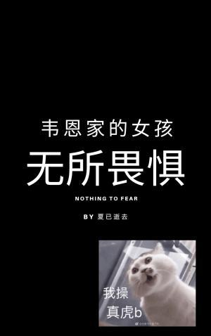 [綜英美]韋恩家的女孩無所畏懼