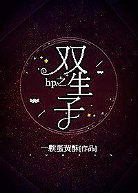 hp之雙生子