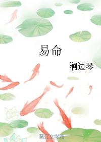 易命