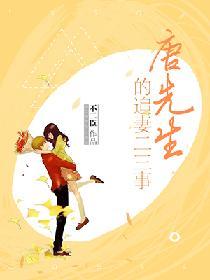 唐先生的追妻二三事