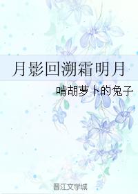 月影回溯霜明月