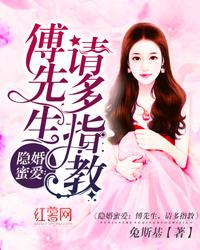 隐婚蜜愛：傅先生，請多指教