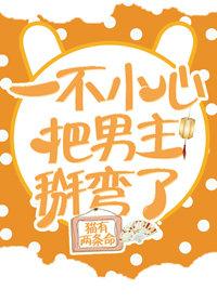 一不小心把男主掰彎了[穿書]