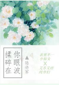 揉碎在你眼波
