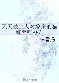 天天被主人對象家的貓嫌棄咋辦？