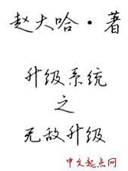 升級系統之無敵升級