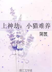 上神劫：小貓難養