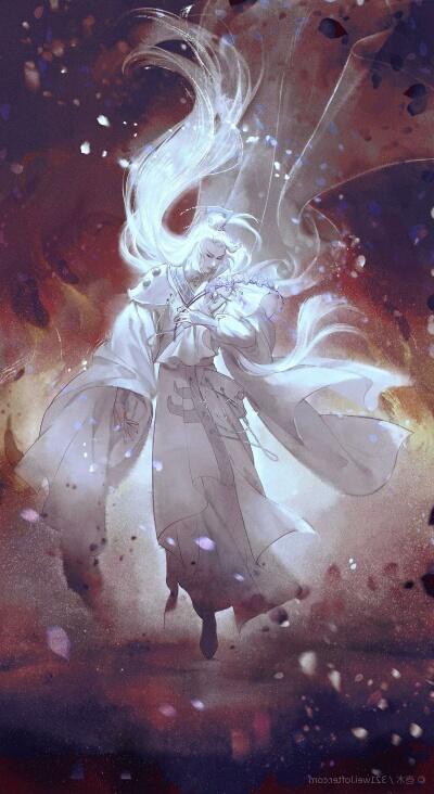 【蝴蝶蘭】蝶心跌心