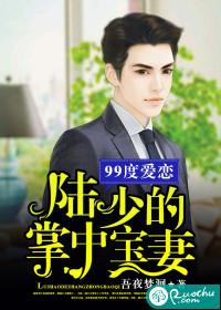 99度愛戀：陸少的掌中寶妻