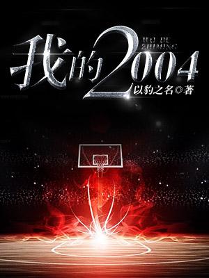 我的2004