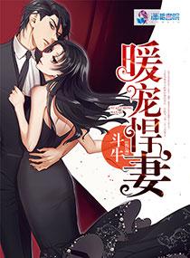 暖寵悍妻