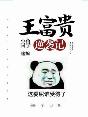 王富貴逆襲記