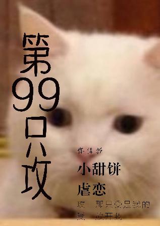 第99只攻