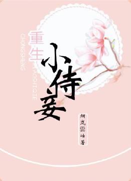 重生小侍妾