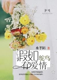 假如鴕鳥有愛情