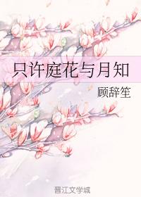 只許庭花與月知