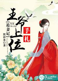 追妻記：王爺上位手劄