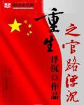 重生之官路浮沉