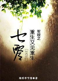 七零軍嫂之重生又見重生