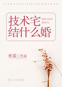 技術宅結什麽婚