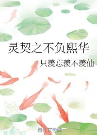 靈契之不負熙華