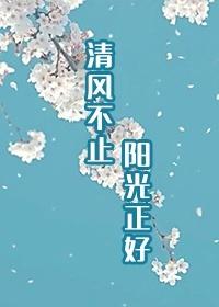 清風不止 陽光正好