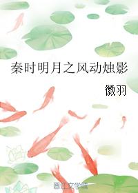 秦時明月之風動燭影