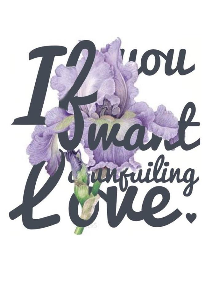 如果你喜歡至死不渝的愛情