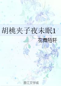 胡桃夾子夜未眠1