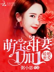 暖婚蜜愛：萌寶甜妻1加1