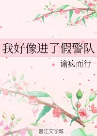 我好像進了假警隊