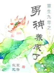重生九零之男神養成了