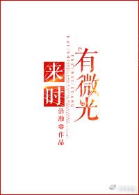 來時有微光
