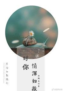對你，情深如故